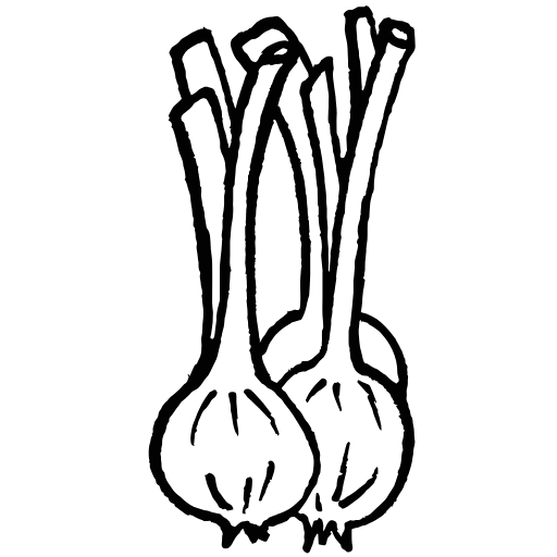 onions icon