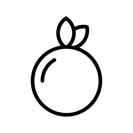 orange icon