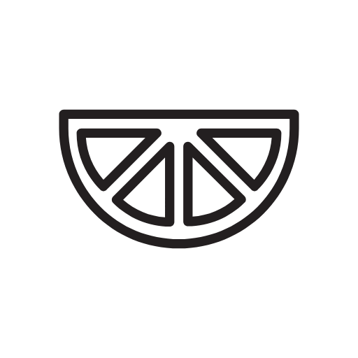 orange slice icon
