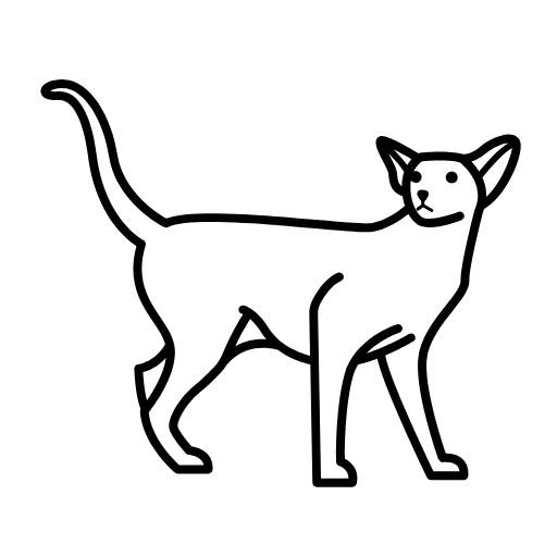 oriental shorthair cat icon