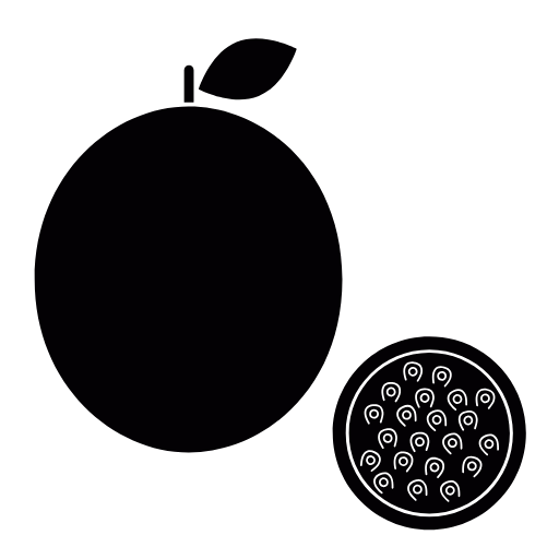 passion fruit icon