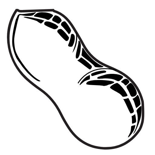 peanut icon