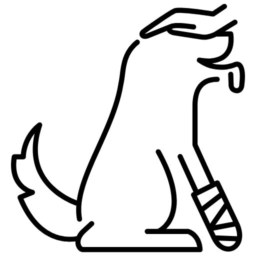 pet care icon