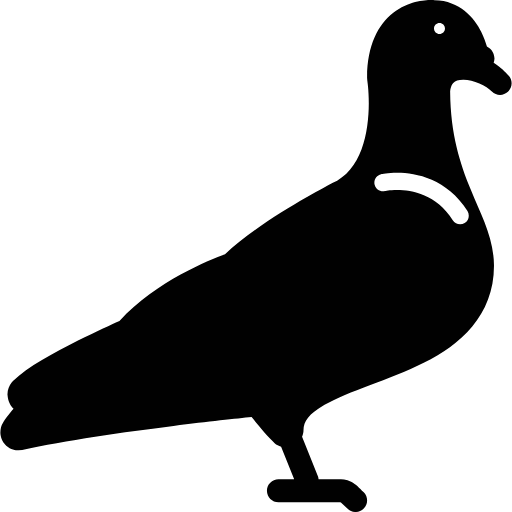 pigeon icon