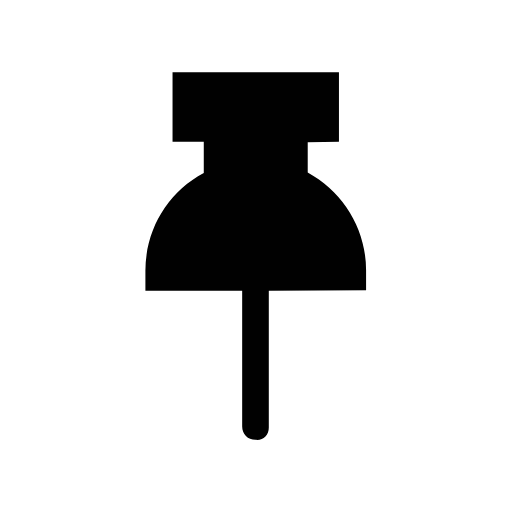 pin icon