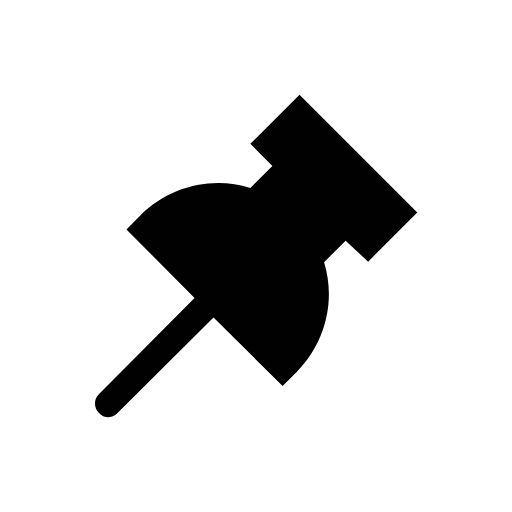 pin icon