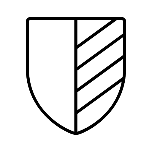 protection shield icon