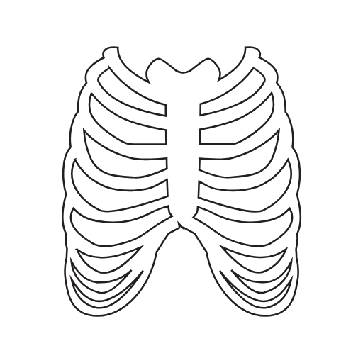 ribs icon