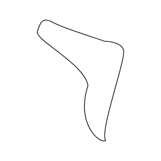 right shoulder icon