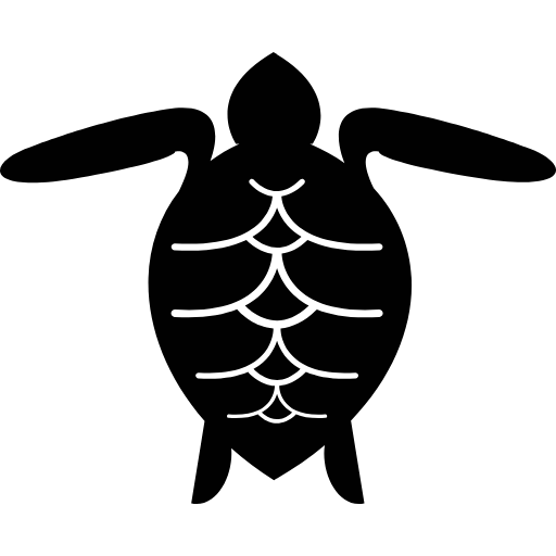 sea turtle icon