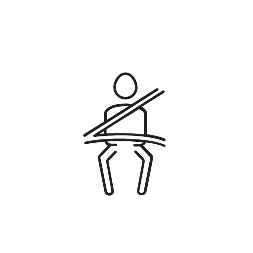 seat belt icon