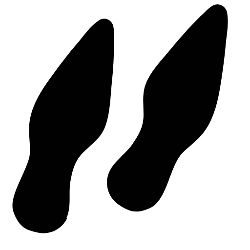 shoe prints icon
