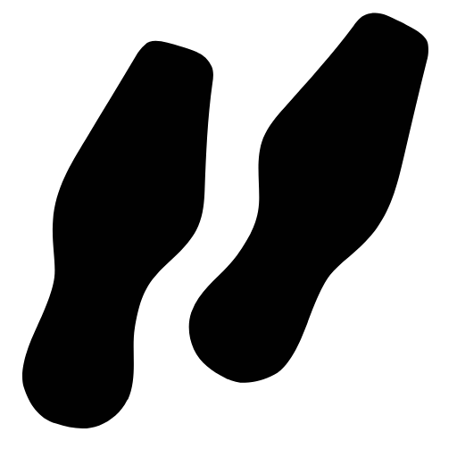 shoe prints icon