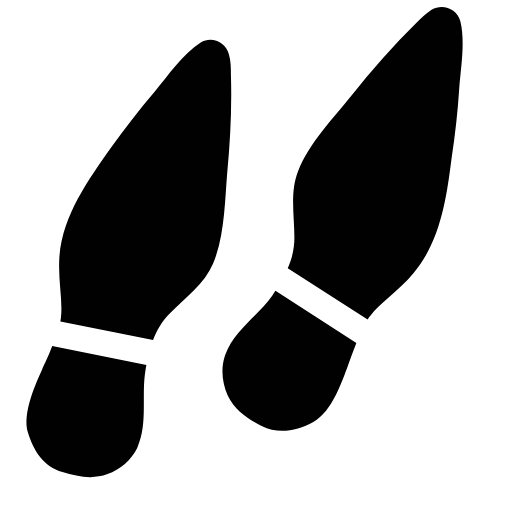 shoe prints icon