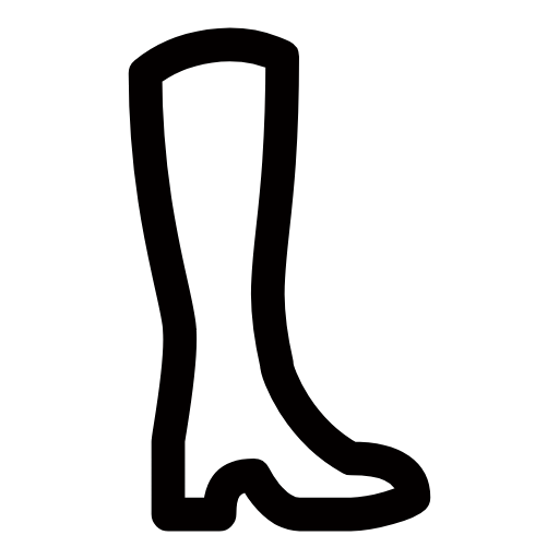shoes icon