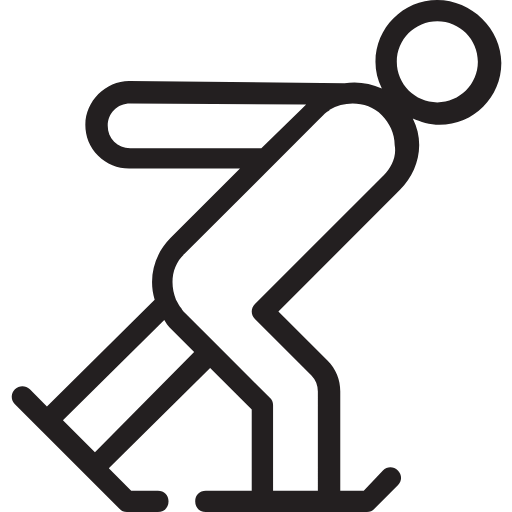 skier icon