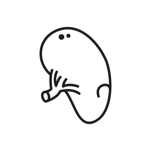 spleen icon