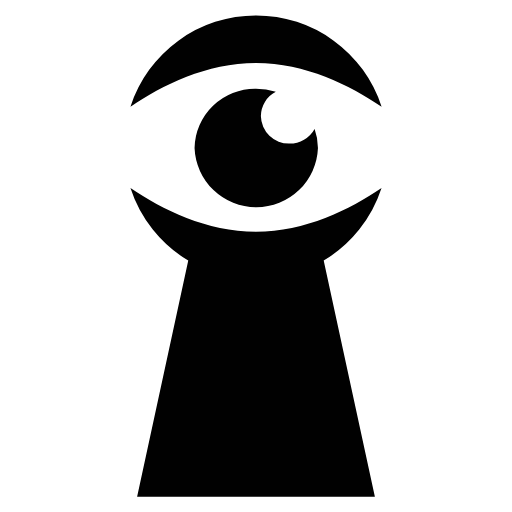 spying icon