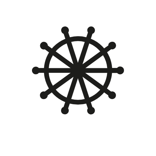 steering wheel icon