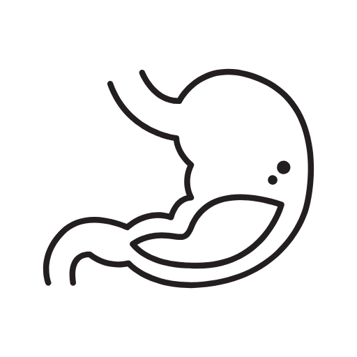 stomach icon