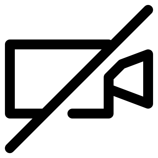 video disabled icon