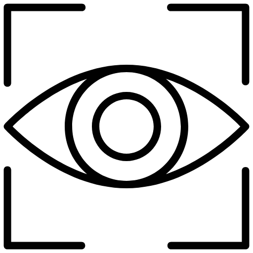 vision icon