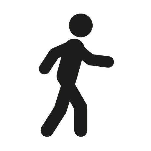 walking icon