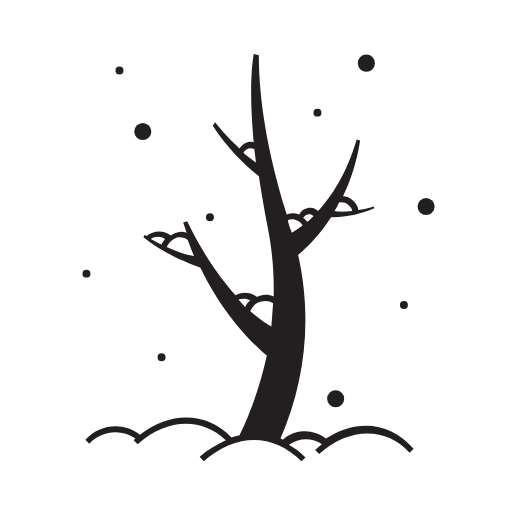 winter icon
