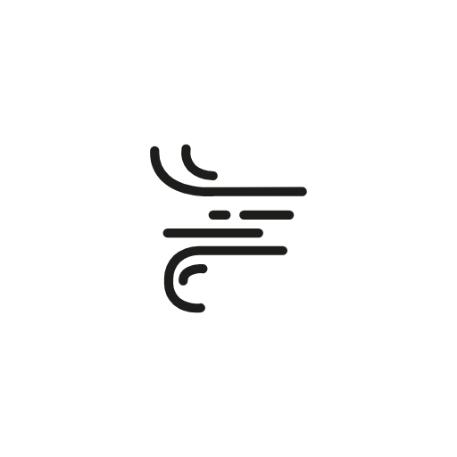 woosh wind icon